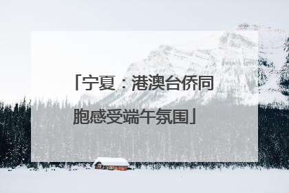 宁夏：港澳台侨同胞感受端午氛围