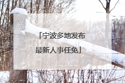宁波多地发布最新人事任免