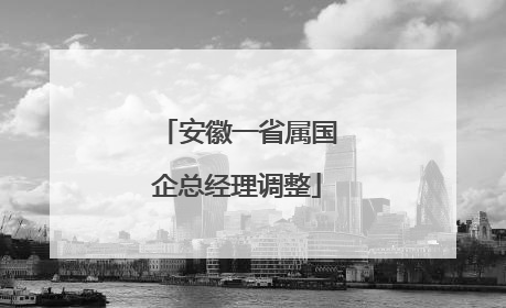 安徽一省属国企总经理调整