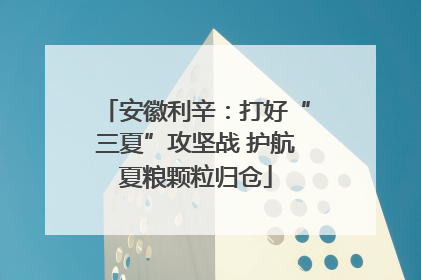 安徽利辛：打好“三夏”攻坚战 护航夏粮颗粒归仓