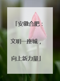 安徽合肥：文明一座城，向上新力量