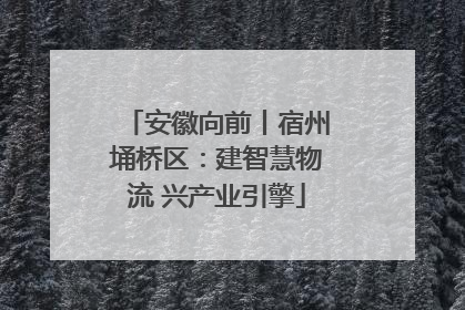 安徽向前丨宿州埇桥区：建智慧物流 兴产业引擎