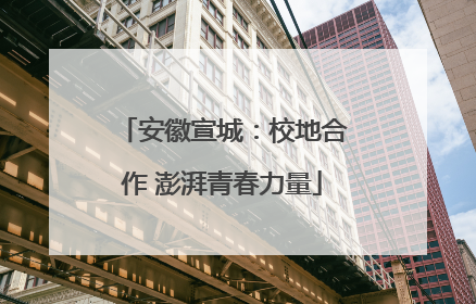 安徽宣城：校地合作 澎湃青春力量