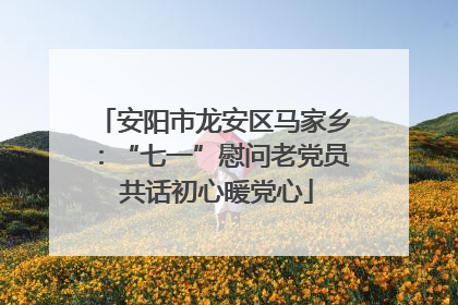 安阳市龙安区马家乡：“七一”慰问老党员 共话初心暖党心