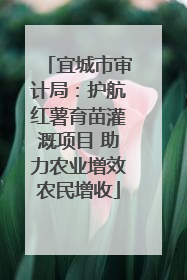 宜城市审计局：护航红薯育苗灌溉项目 助力农业增效农民增收