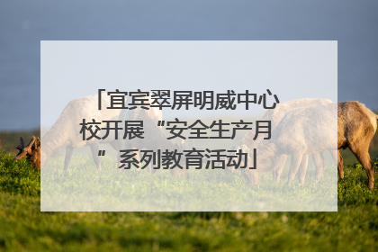 宜宾翠屏明威中心校开展“安全生产月”系列教育活动