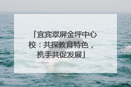 宜宾翠屏金坪中心校：共探教育特色，携手共促发展