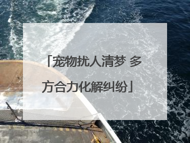 宠物扰人清梦 多方合力化解纠纷