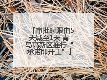 审批时限由5天减至1天 青岛高新区推行“承诺即开工”