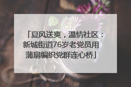 夏风送爽，温情社区：新城街道76岁老党员用蒲扇编织党群连心桥