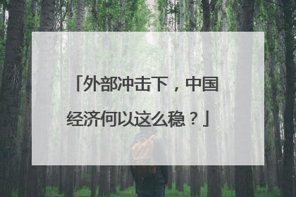 外部冲击下，中国经济何以这么稳？