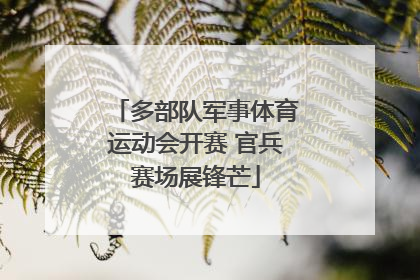 多部队军事体育运动会开赛 官兵赛场展锋芒