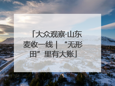 大众观察·山东麦收一线｜“无形田”里有大账