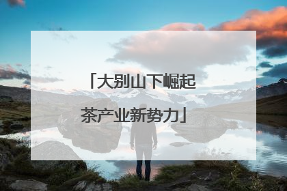 大别山下崛起茶产业新势力
