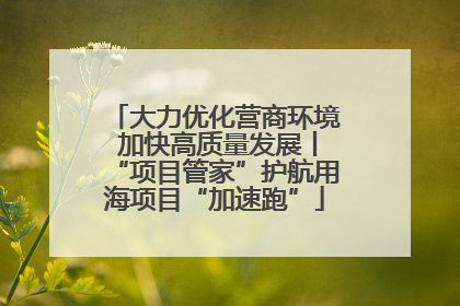 大力优化营商环境 加快高质量发展丨“项目管家”护航用海项目“加速跑”