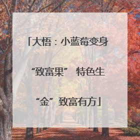 大悟：小蓝莓变身“致富果” 特色生“金”致富有方