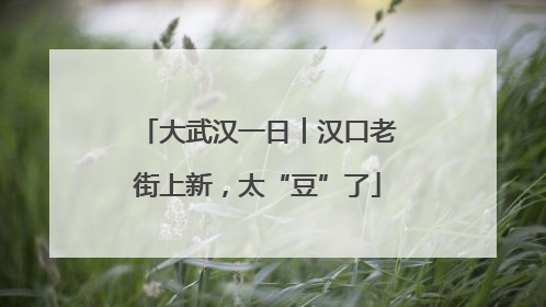大武汉一日︱汉口老街上新，太“豆”了