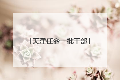 天津任命一批干部