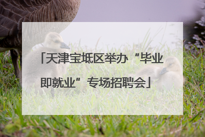 天津宝坻区举办“毕业即就业”专场招聘会