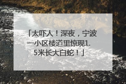太吓人！深夜，宁波一小区楼道里惊现1.5米长大白蛇！