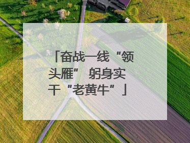 奋战一线“领头雁” 躬身实干“老黄牛”