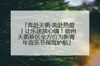 奔赴天衢·奔赴热爱丨让乐迷放心嗨！德州天衢新区全方位为新青年音乐节保驾护航
