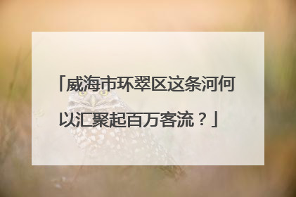 威海市环翠区这条河何以汇聚起百万客流？