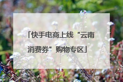 快手电商上线“云南消费券”购物专区