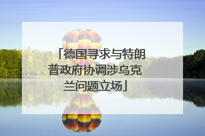 德国寻求与特朗普政府协调涉乌克兰问题立场
