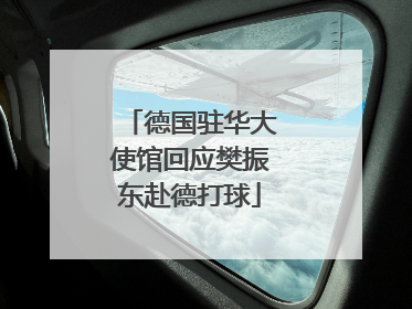 德国驻华大使馆回应樊振东赴德打球
