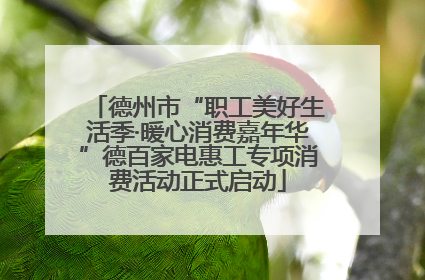 德州市“职工美好生活季·暖心消费嘉年华”德百家电惠工专项消费活动正式启动