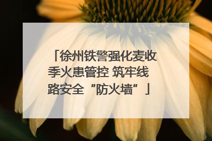 徐州铁警强化麦收季火患管控 筑牢线路安全“防火墙”