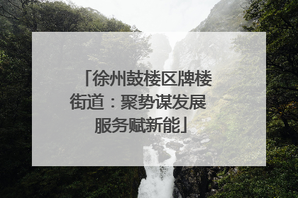 徐州鼓楼区牌楼街道：聚势谋发展 服务赋新能