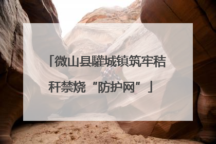 微山县驩城镇筑牢秸秆禁烧“防护网”