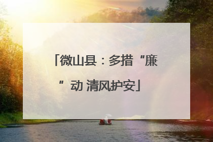微山县：多措“廉”动 清风护安