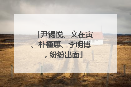 尹锡悦、文在寅、朴槿惠、李明博，纷纷出面