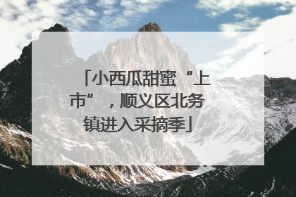 小西瓜甜蜜“上市”，顺义区北务镇进入采摘季