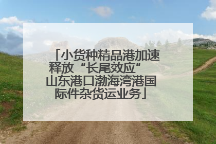 小货种精品港加速释放“长尾效应” 山东港口渤海湾港国际件杂货运业务