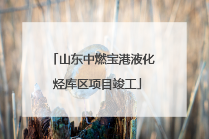 山东中燃宝港液化烃库区项目竣工