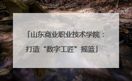 山东商业职业技术学院：打造“数字工匠”摇篮