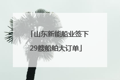 山东新能船业签下29艘船舶大订单