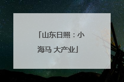 山东日照：小海马 大产业