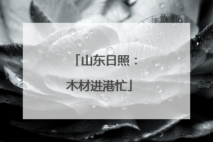 山东日照：木材进港忙