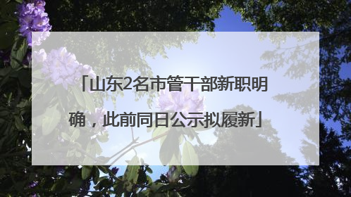 山东2名市管干部新职明确，此前同日公示拟履新