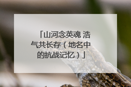 山河念英魂 浩气共长存（地名中的抗战记忆）