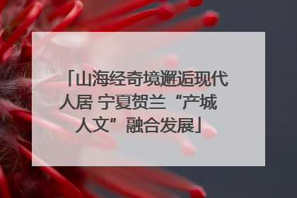 山海经奇境邂逅现代人居 宁夏贺兰“产城人文”融合发展