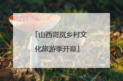 山西岢岚乡村文化旅游季开幕