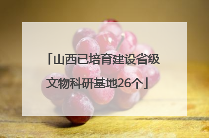 山西已培育建设省级文物科研基地26个