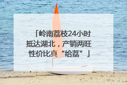 岭南荔枝24小时抵达湖北，产销两旺性价比真“给荔”