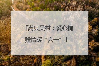 嵩县吴村：爱心捐赠情暖“六一”